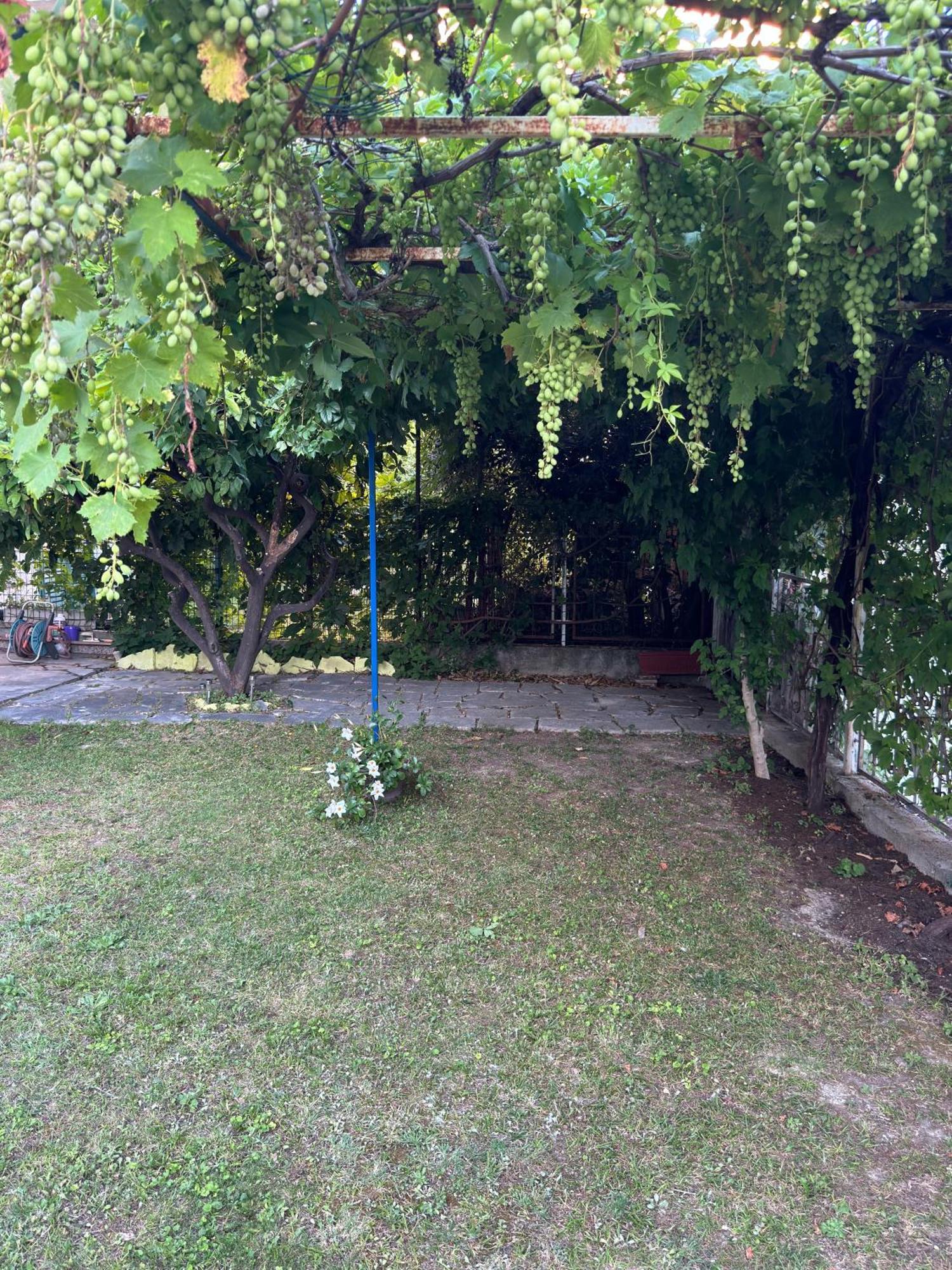 Valentinas Garden Apartman Split Kültér fotó