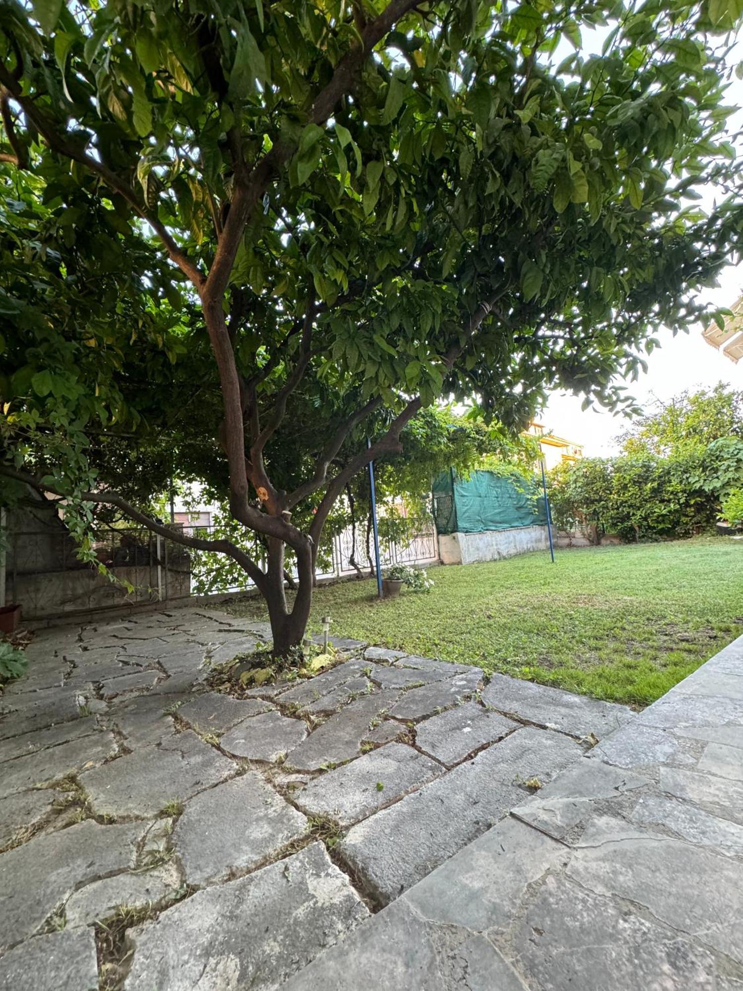 Valentinas Garden Apartman Split Kültér fotó