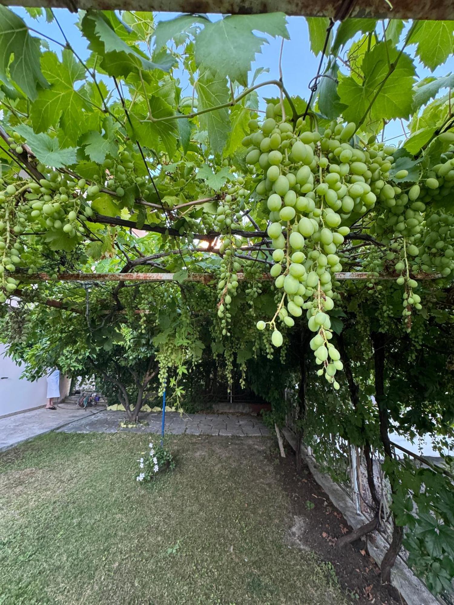 Valentinas Garden Apartman Split Kültér fotó