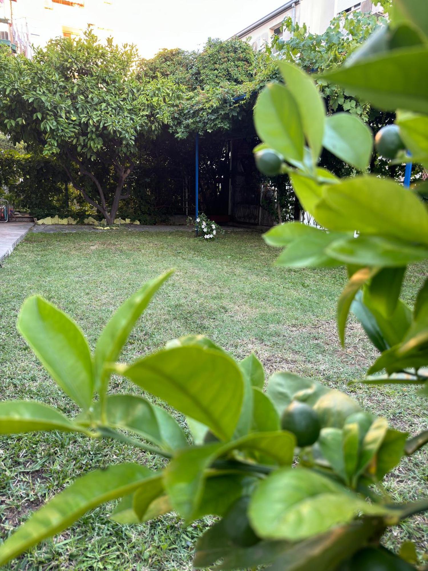 Valentinas Garden Apartman Split Kültér fotó